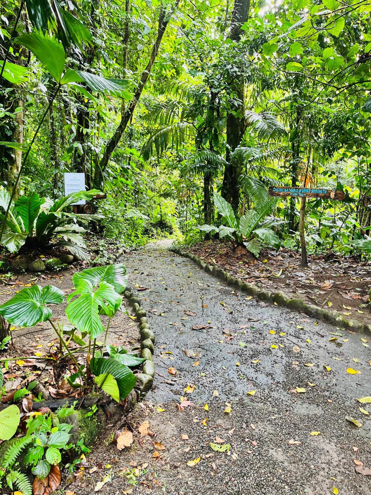 Villa Wellness Park Cr La Fortuna Esterno foto