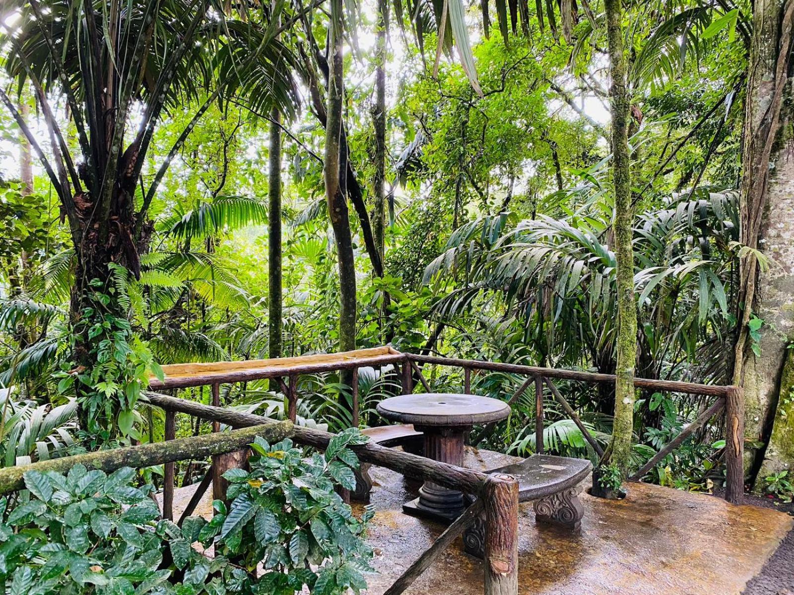 Villa Wellness Park Cr La Fortuna Esterno foto
